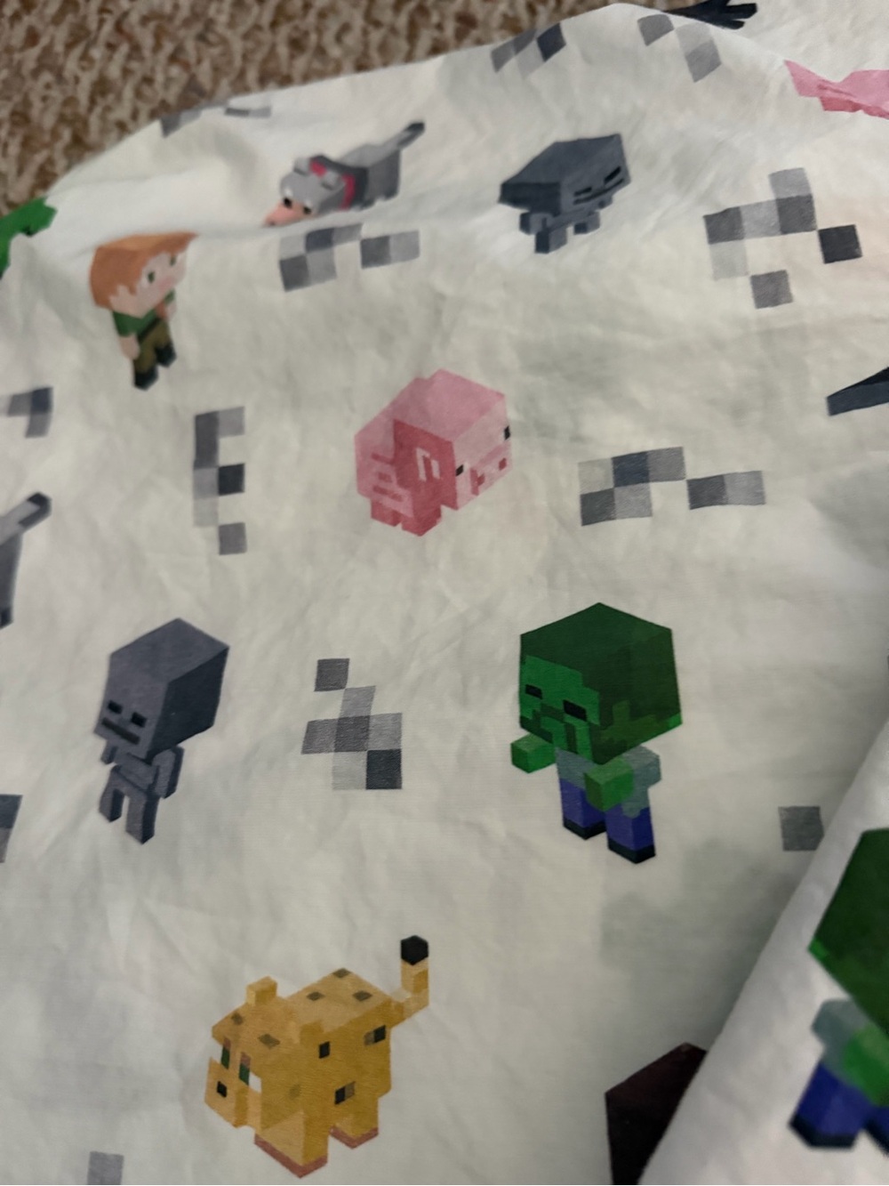 EUC Pottery Barn Kids Minecraft Organic Sheet Set Twin - Picture 5 of 9